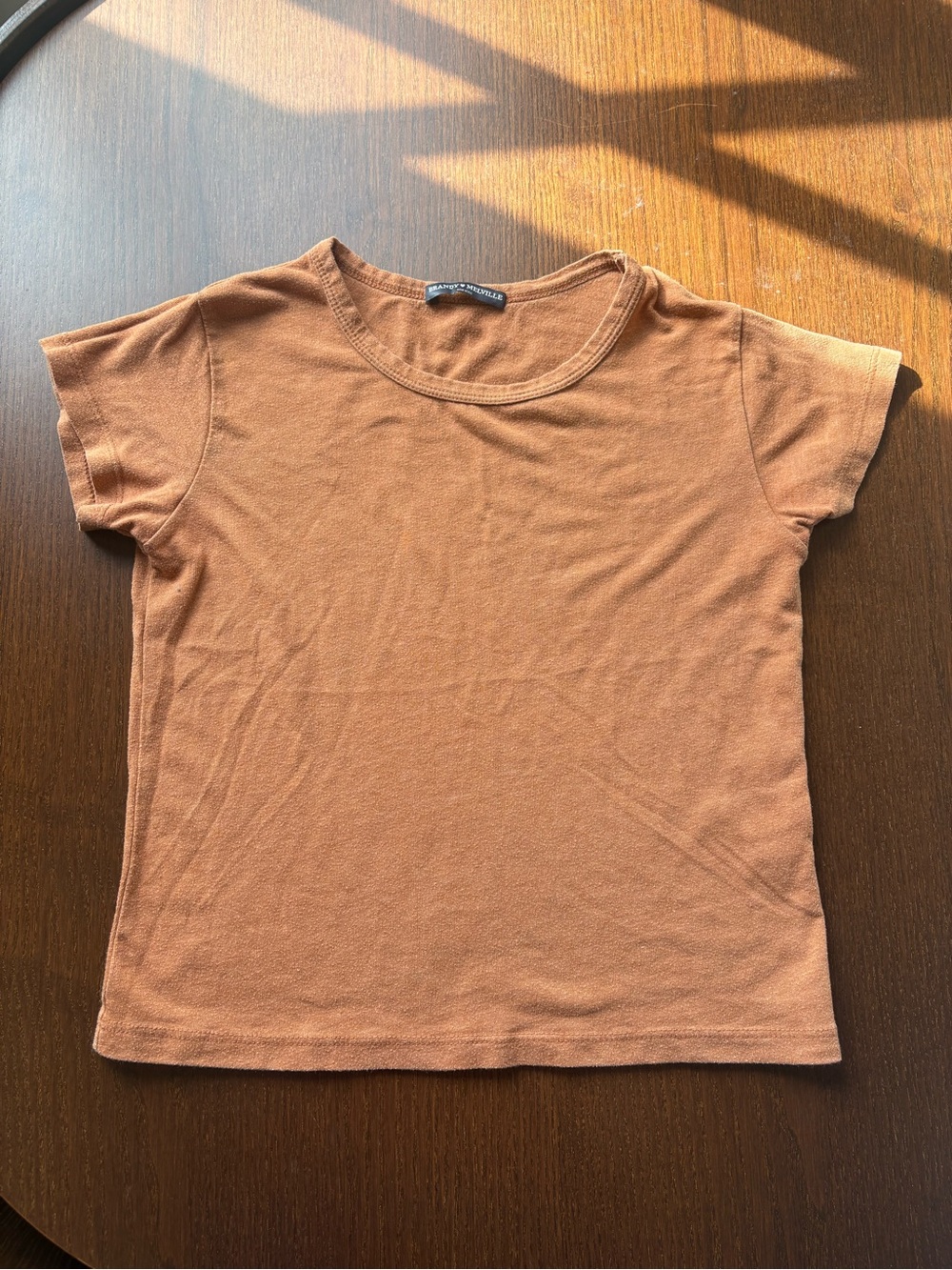 Brandy Melville Short Sleeve Tee in Rust Orange